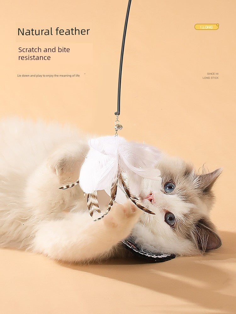 Relieving Stuffy Handy Gadget Long Brush Holder Pet Cat Toy with Suction Cup